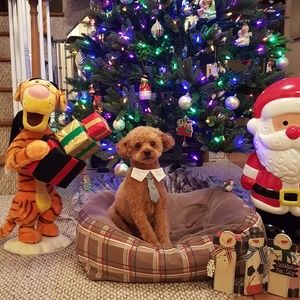 Meet your Posher, Susan